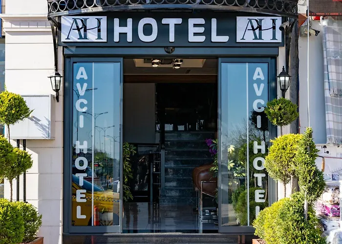 Avci Palace 4* Istanbulská provincie