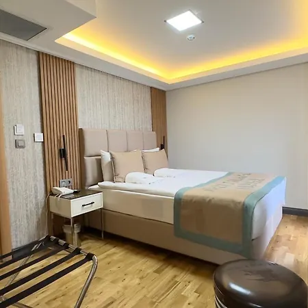 Avci Palace ホテル 4*